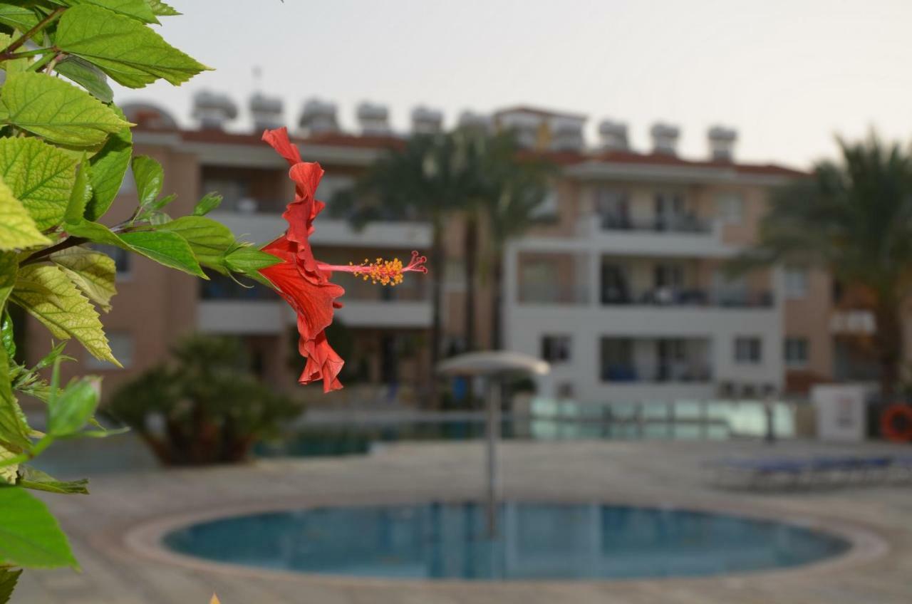 Iris Village Pafos Zewnętrze zdjęcie